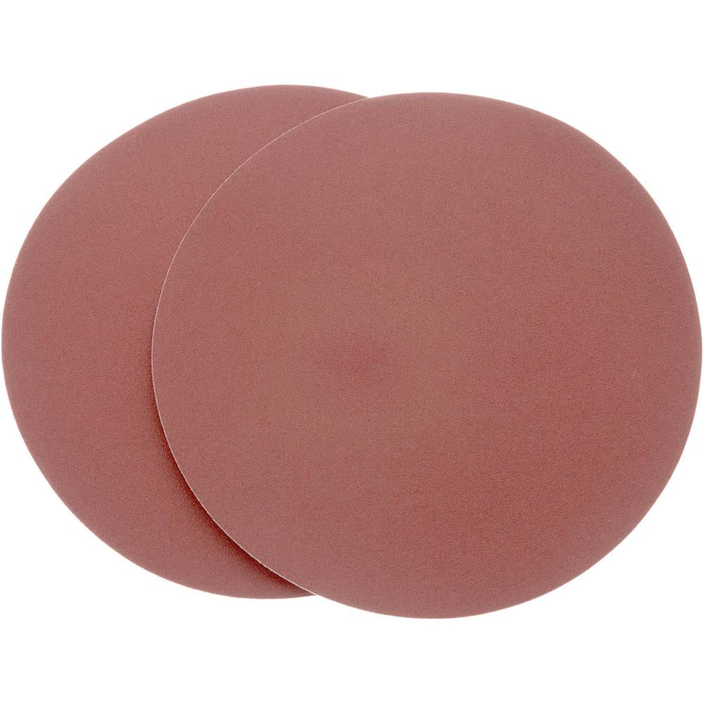 10" 100 Grit AO 2Pc Sanding Di