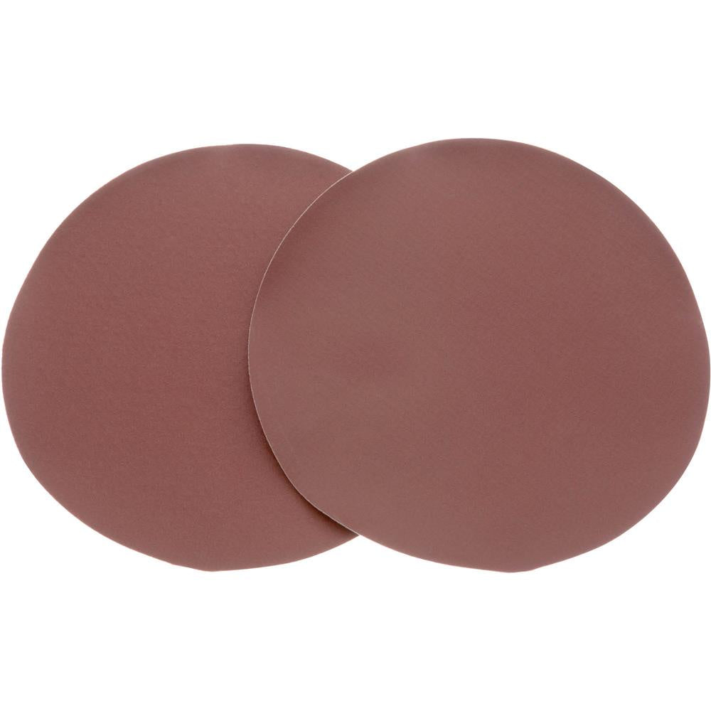 10" 220 Grit AO 2Pc Sanding Di
