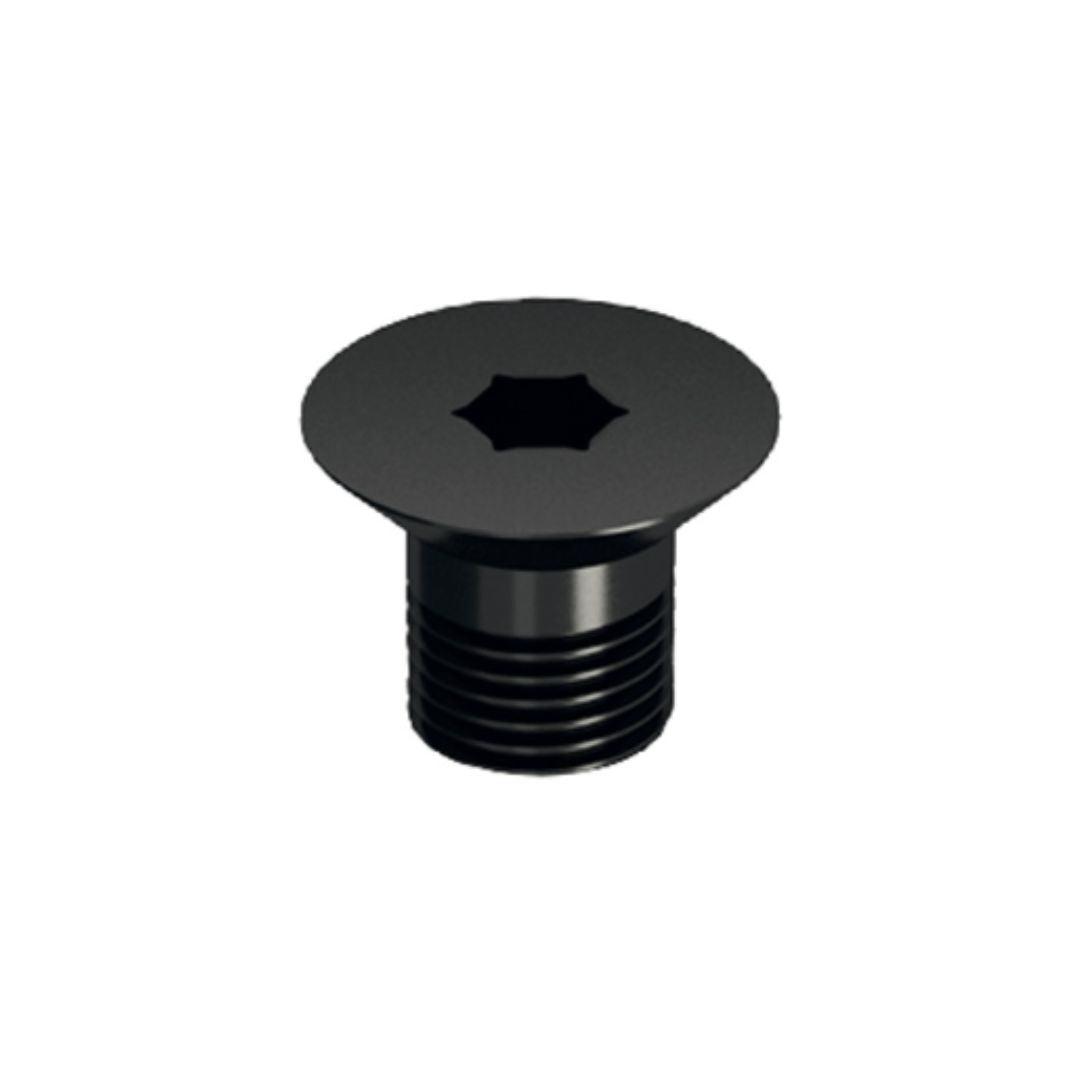 CMT - 990 - Torx screws 990.080.00