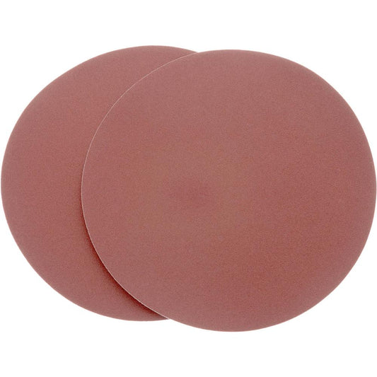 10" 100 Grit AO 2Pc Sanding Di
