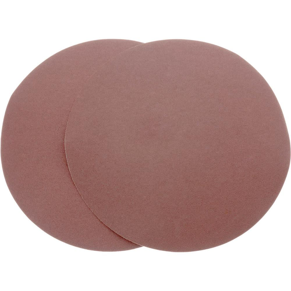 10" 120 Grit AO 2Pc Sanding Di