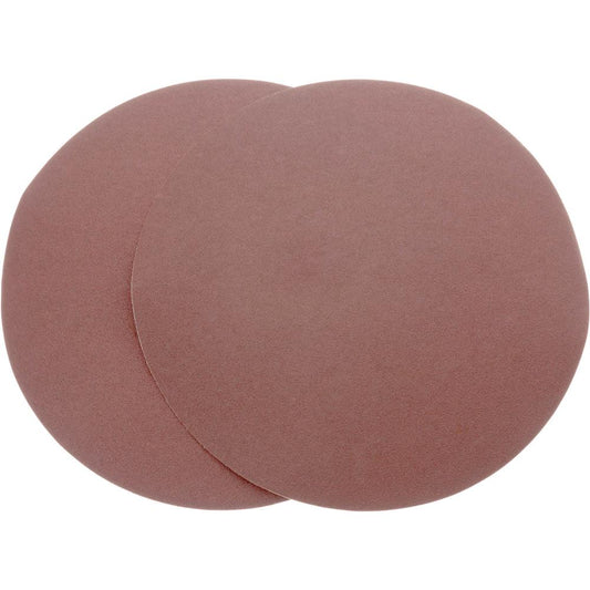 10" 120 Grit AO 2Pc Sanding Di