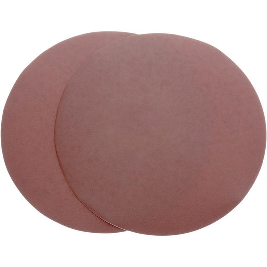 10" 180 Grit AO 2Pc Sanding Di