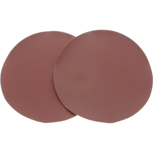 10" 220 Grit AO 2Pc Sanding Di